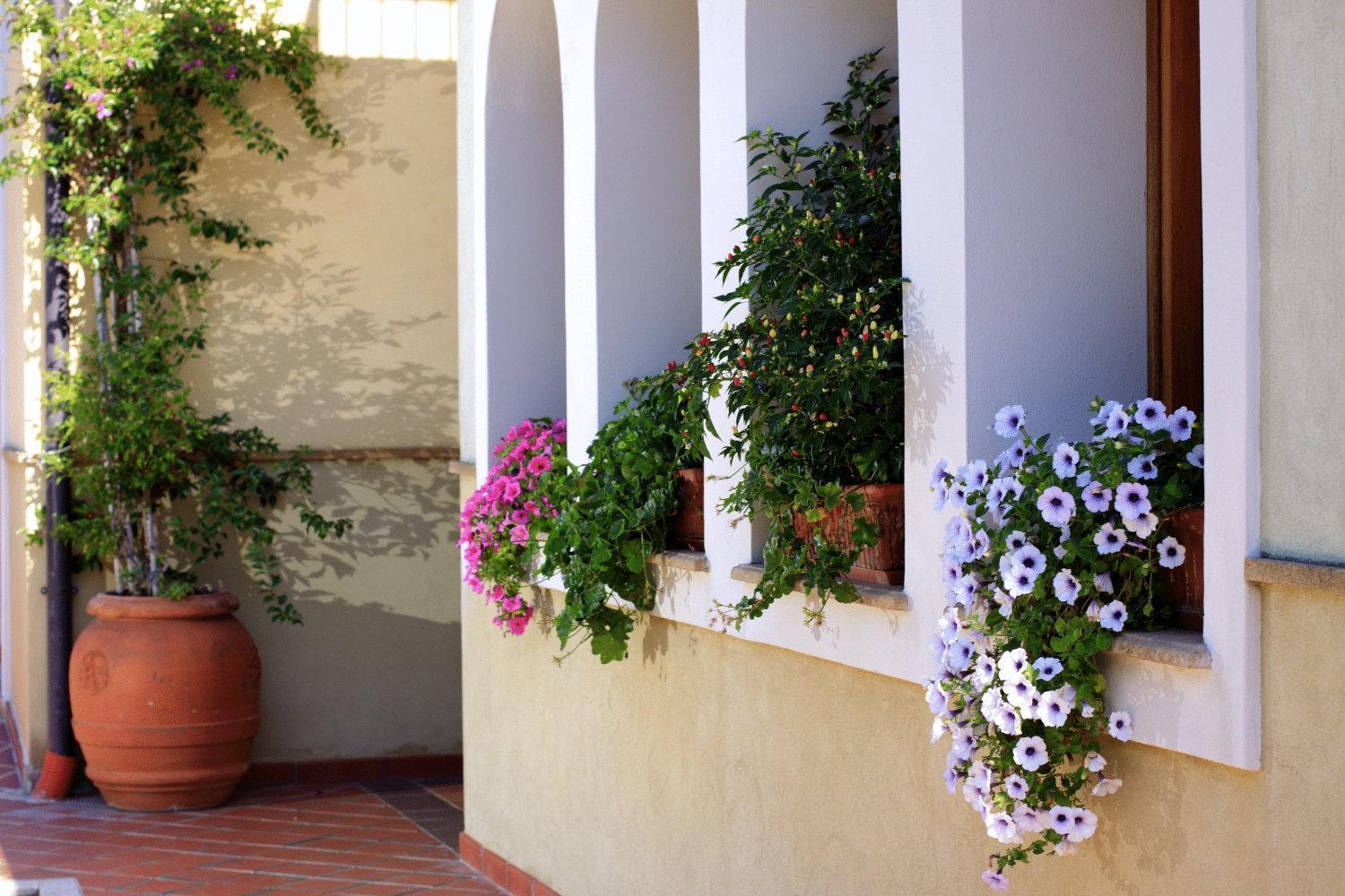 Hotel L'Ulivo Girasole Εξωτερικό φωτογραφία